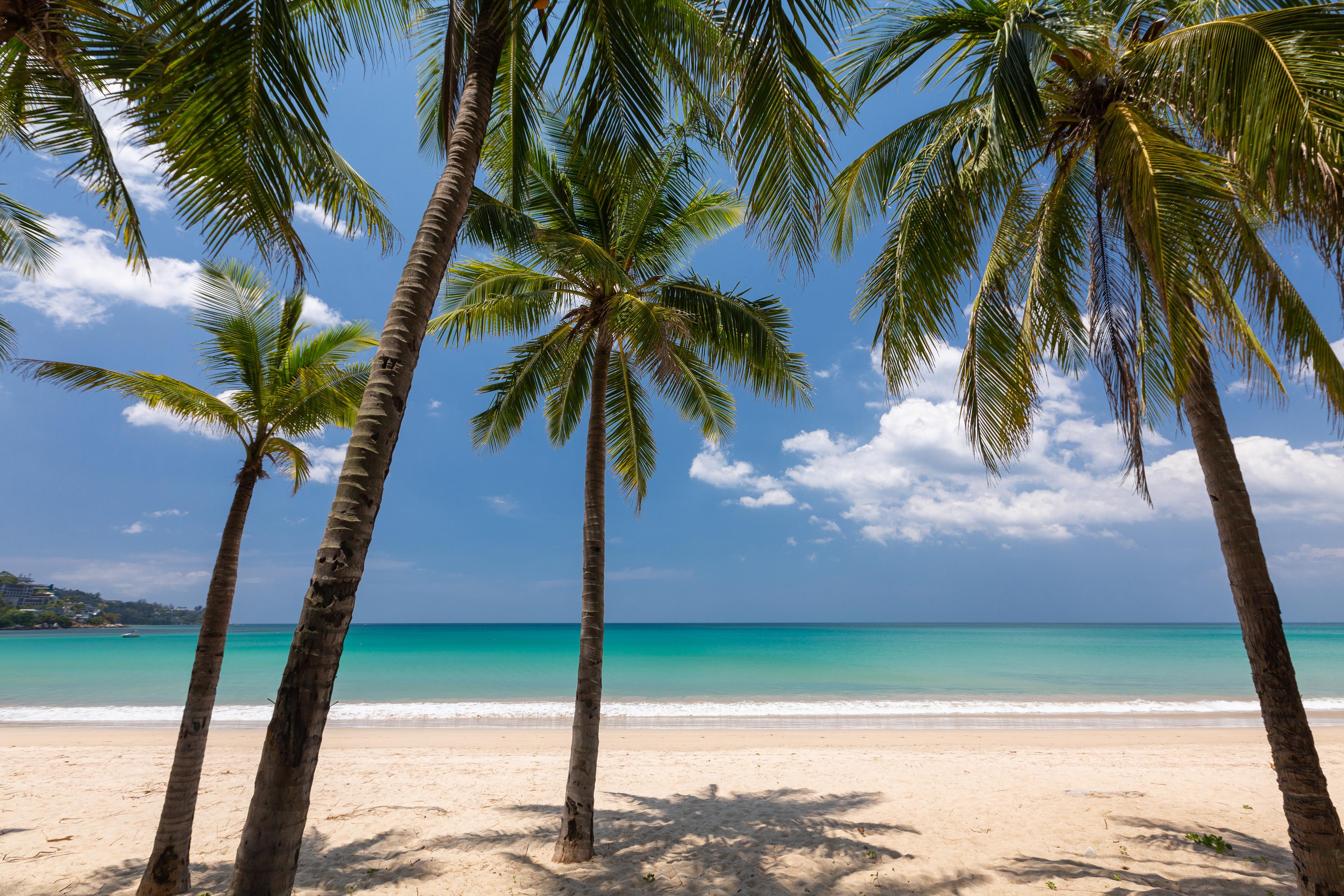 Sunprime Kamala Beach (Adults Only) Bagian luar foto